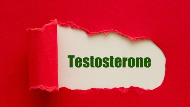 Vitamina D testosterona: qual a relação?