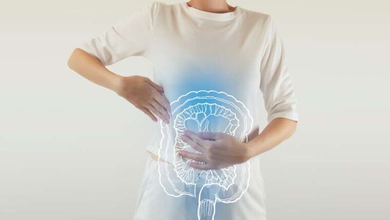 Vitamina D solta o intestino: a relação entre o nutriente e o trato intestinal